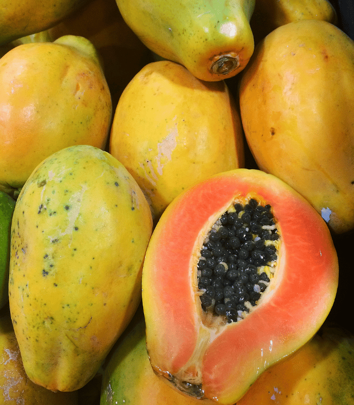 Red papaya