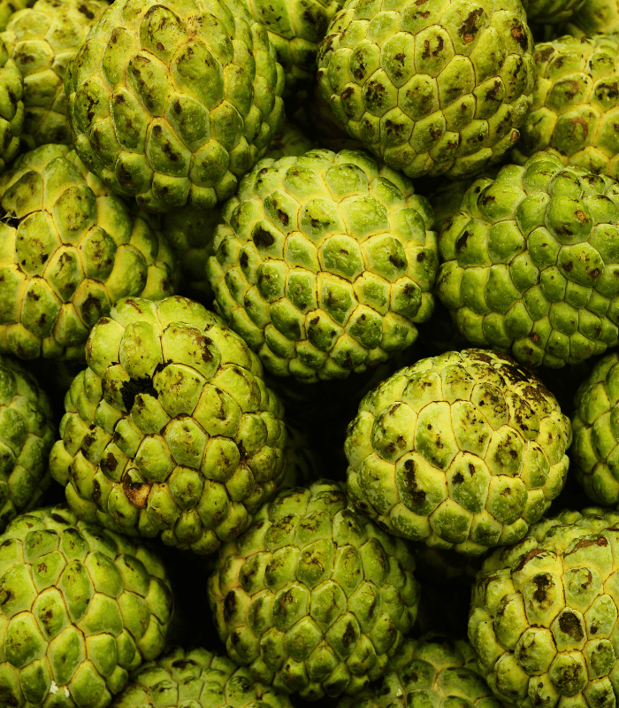 Custard Apple