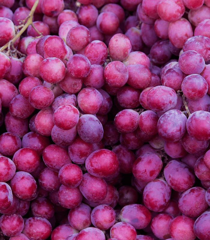 Red Grapes