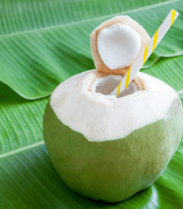 Tender Coconut