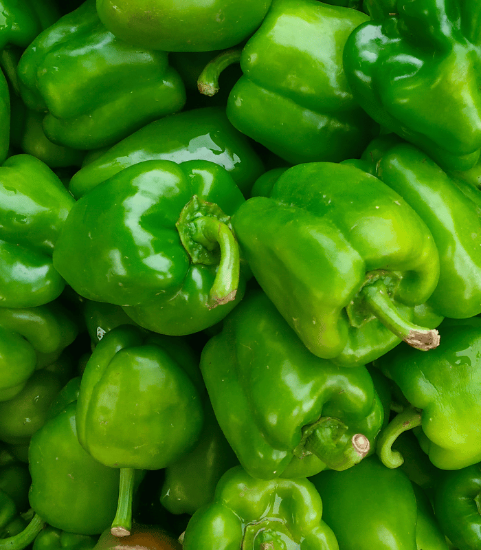 Capsicum