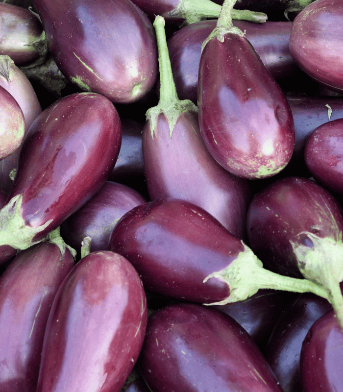 Eggplant