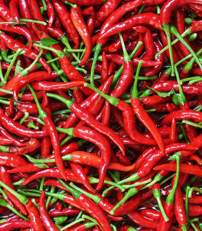 Red Chilli