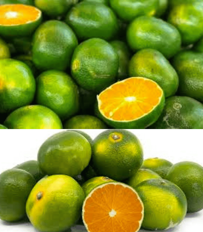 Green Orange